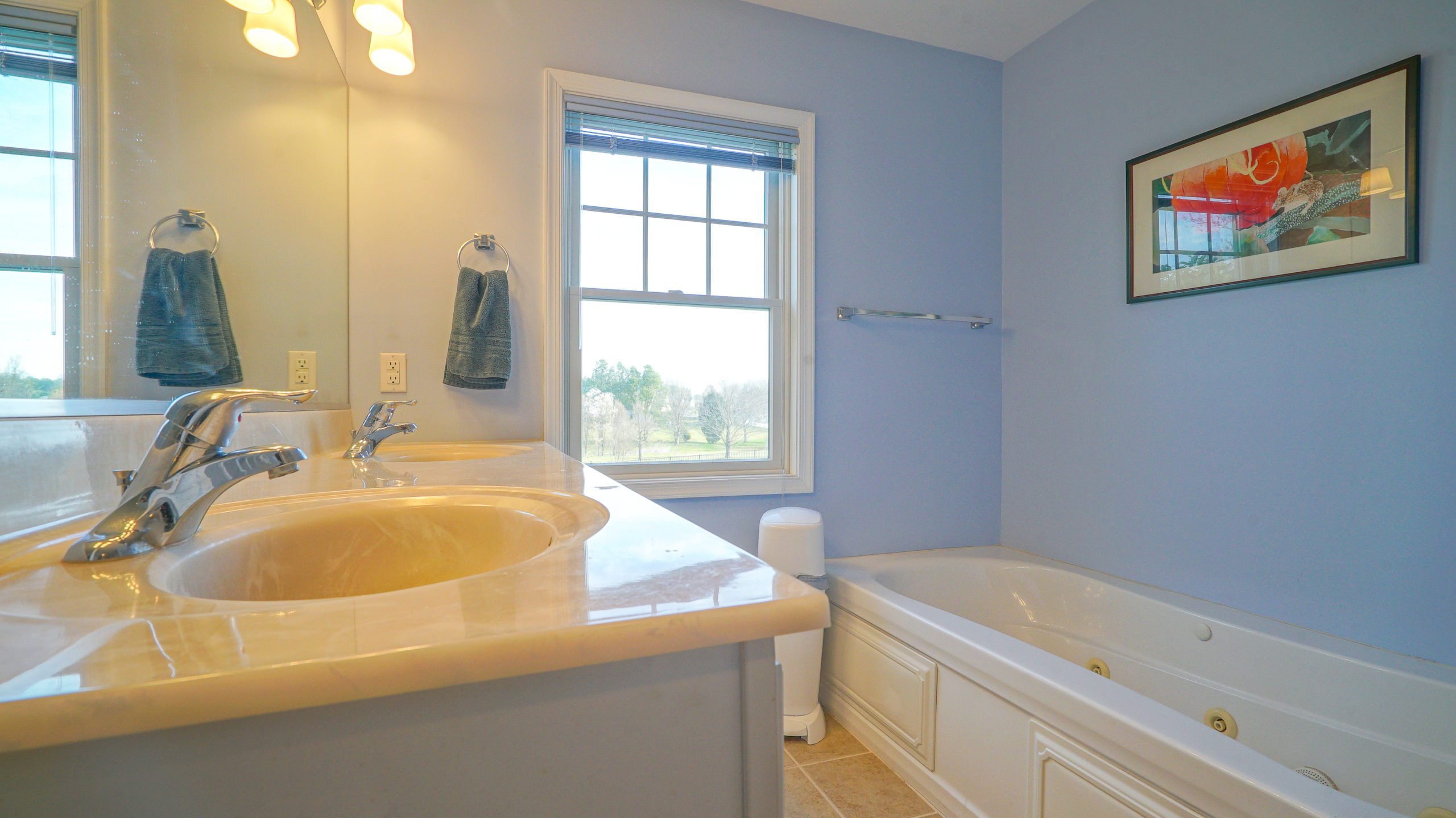 House for Sale in Chestertown Maryland View of Bathroom